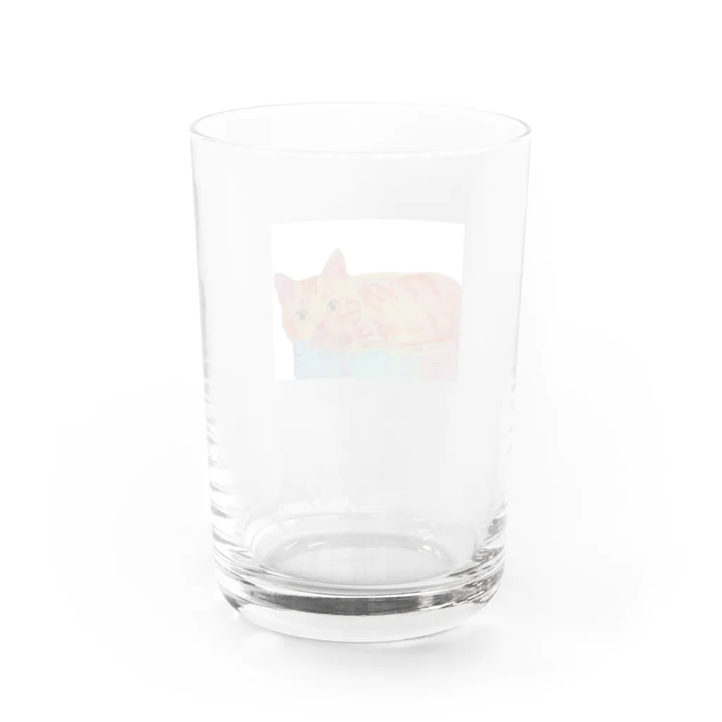 保護猫茶トラ兄弟LIFEのインコちゃん Water Glass :back