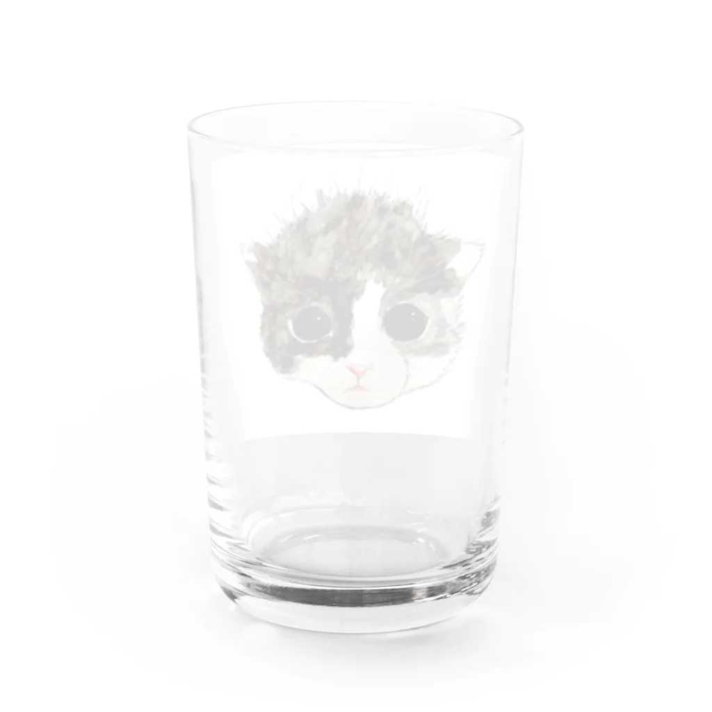 保護猫茶トラ兄弟LIFEの杏ちゃん Water Glass :back