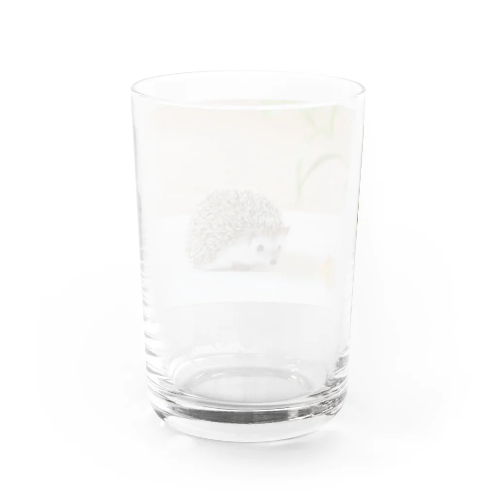 むぎこむ工房の上目遣いのハリネズミ Water Glass :back