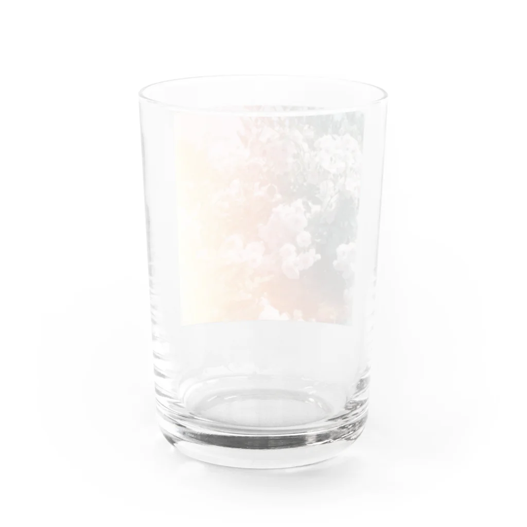 haruka146のレトロな薔薇2（シカク） Water Glass :back