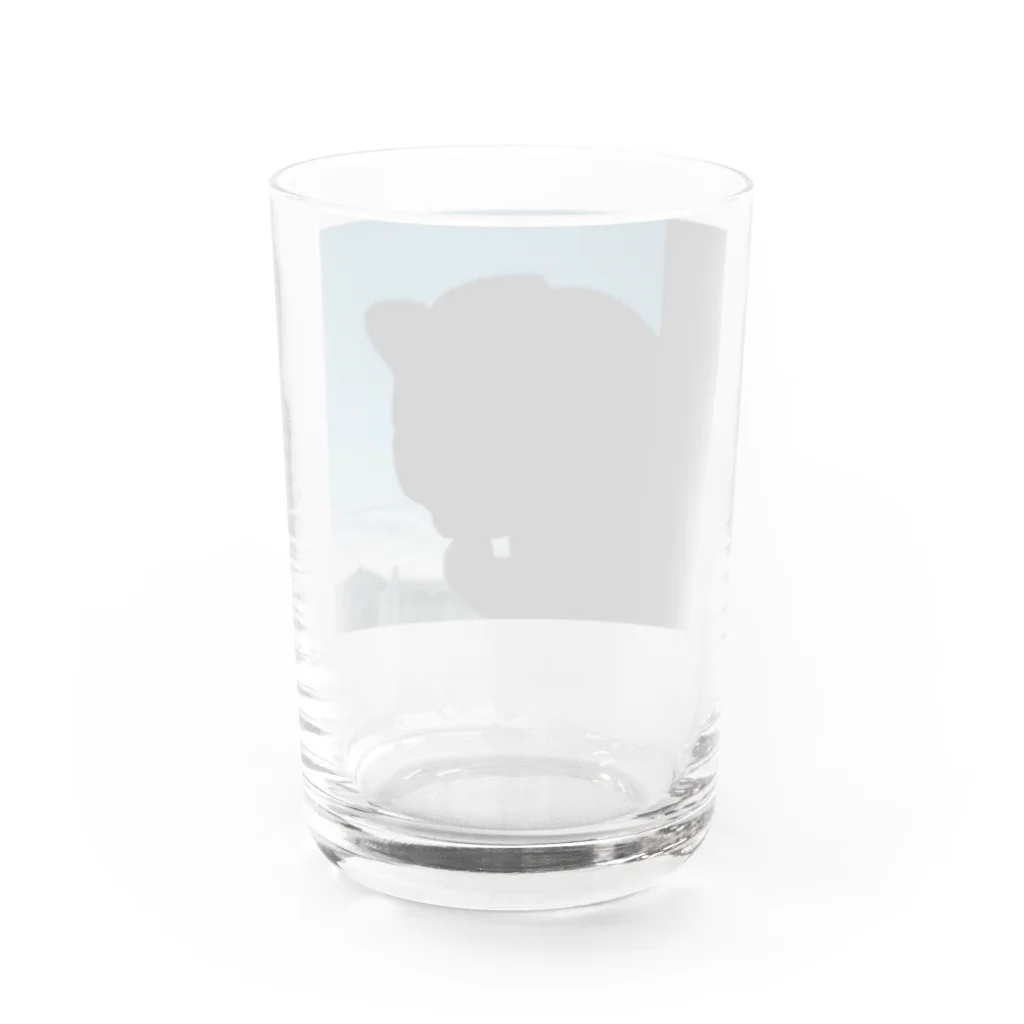 茶色三毛猫ルームの夕方の三毛猫の影 Water Glass :back