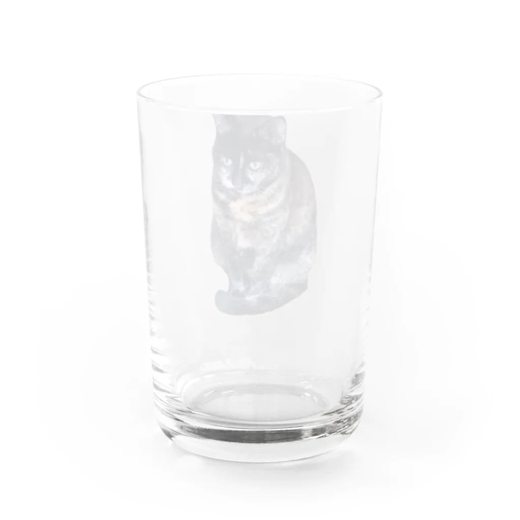 BEEEEEのおすましさびちゃん Water Glass :back