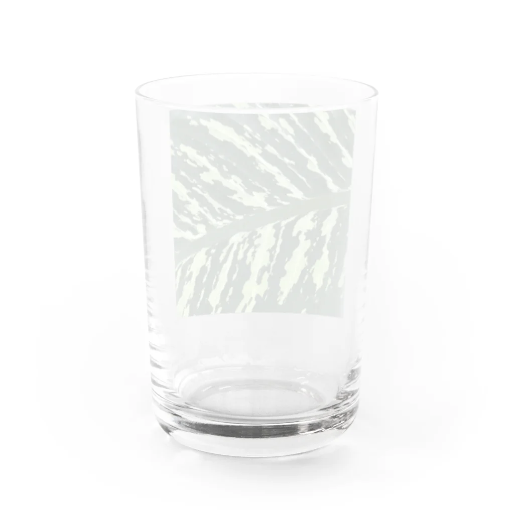 after the rainの斑入りの葉 Water Glass :back