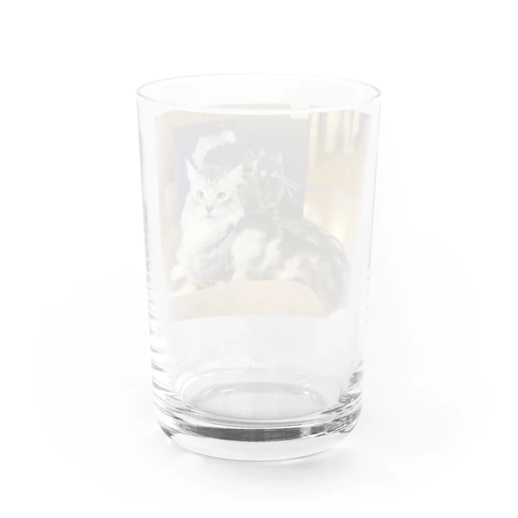 ikimonodaisukishyonenのQooちゃんポーズを決める Water Glass :back