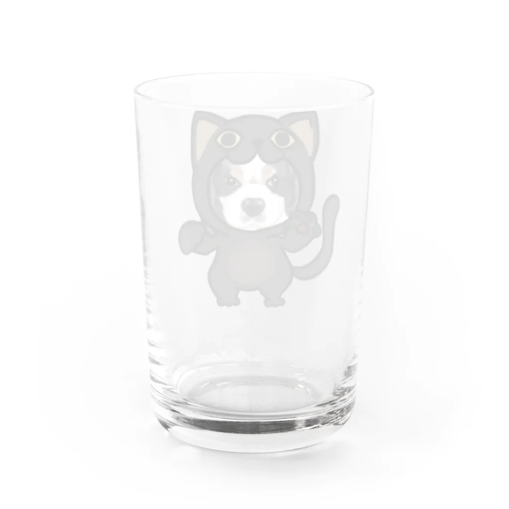 みきぞーん｜保護猫 ミッキー画伯と肉球とおともだちのmaruku Water Glass :back