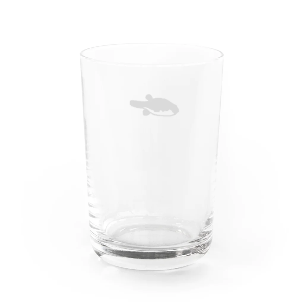 FUGU_GOODSのFreshwater blowfish Water Glass :back