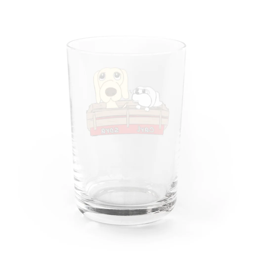 ソラッキーのsora  carl Water Glass :back