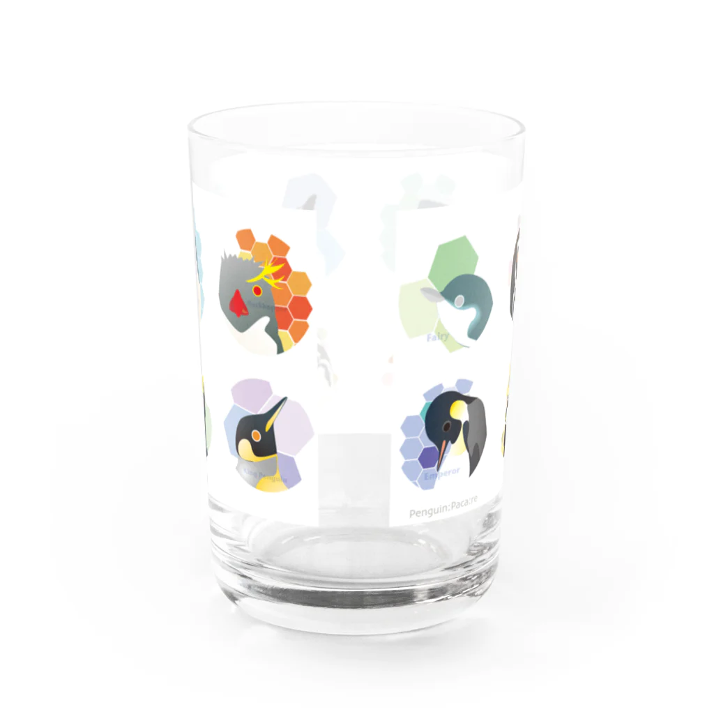 ペンギンパカリの12ペンギンズ Water Glass :back