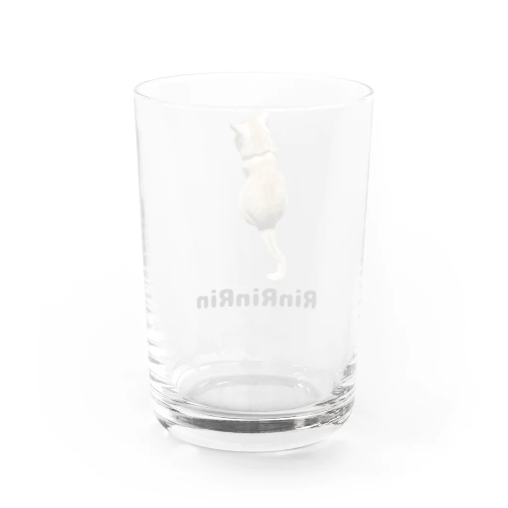 RinRinRinの後ろ向きの猫ちゃん Water Glass :back