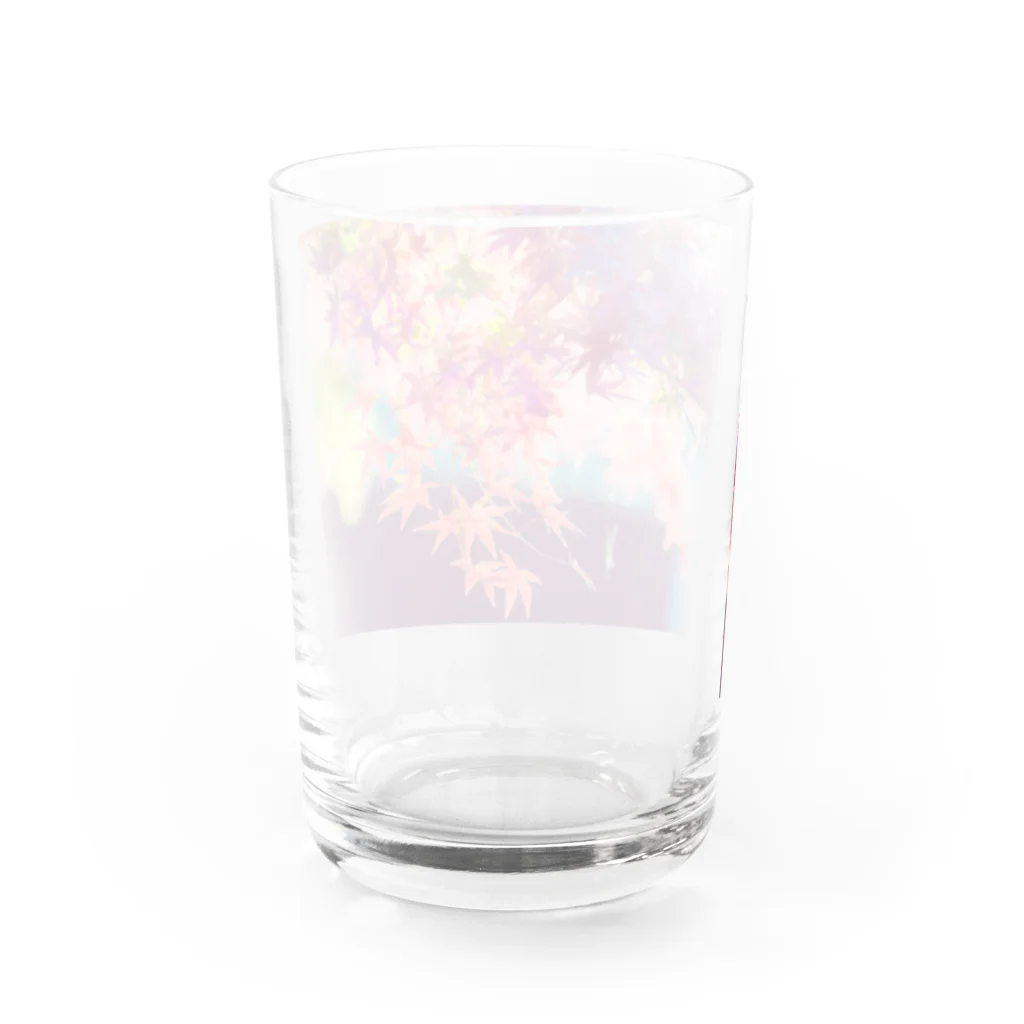 最終進化的量産型良のユメノコウヨウ Water Glass :back