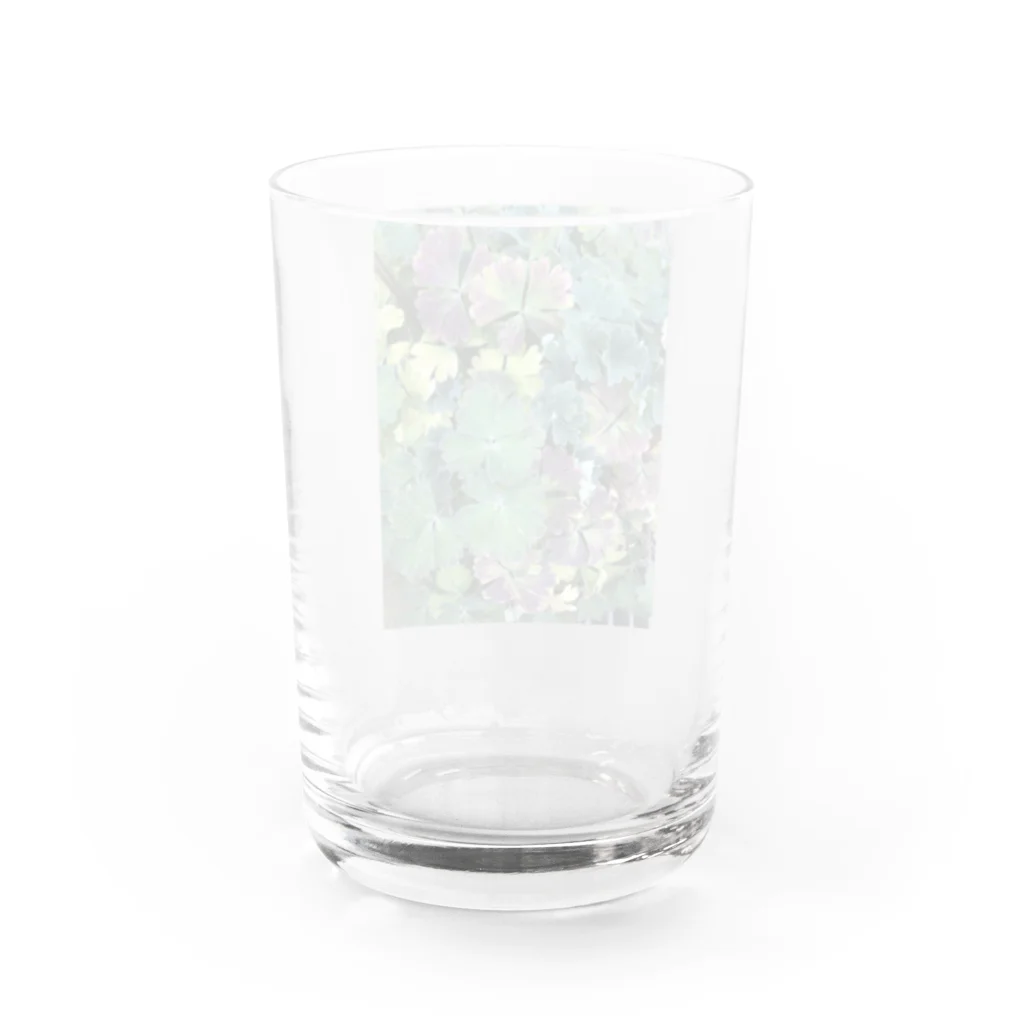 shako2511の草 Water Glass :back