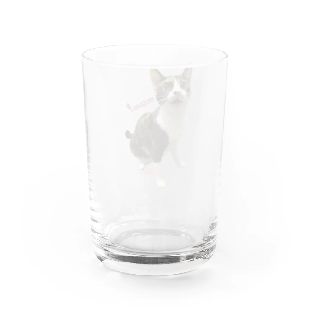 三毛猫tetoteの三毛猫teto 「meow!」 Water Glass :back