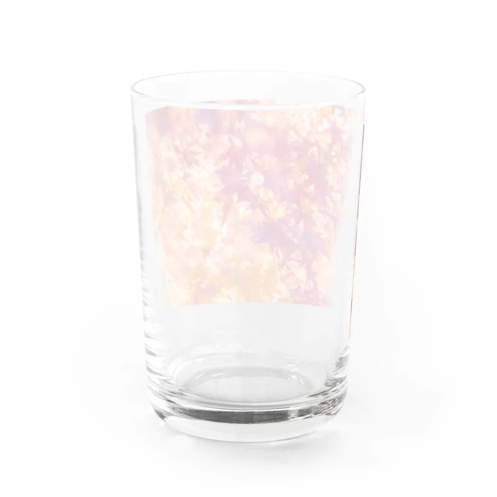 最終進化的量産型良のオレンジノコウヨウ Water Glass :back