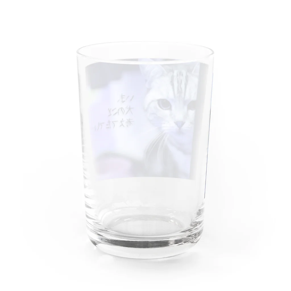 amu-toのいま犬のこと考えてたでしょ… Water Glass :back