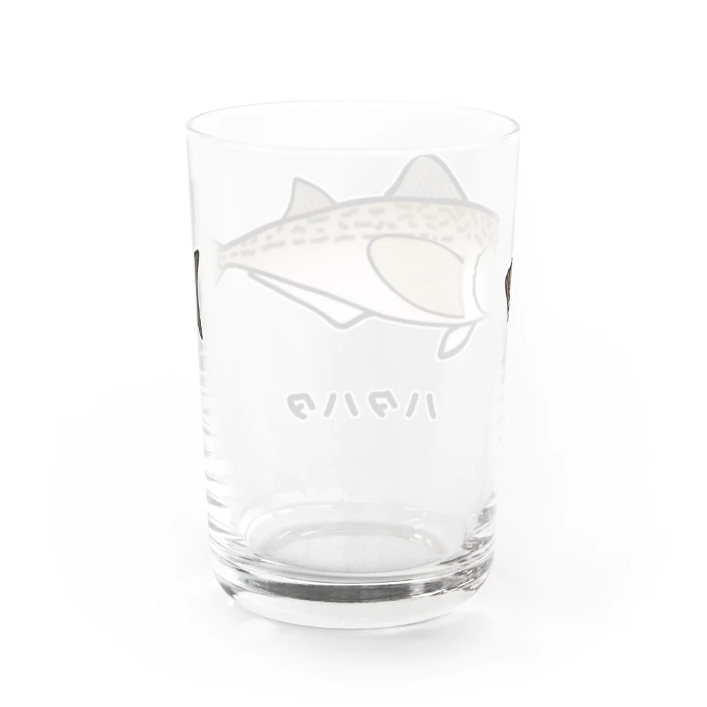 脂身通信Ｚの【魚シリーズ】ハタハタ♪221208 Water Glass :back