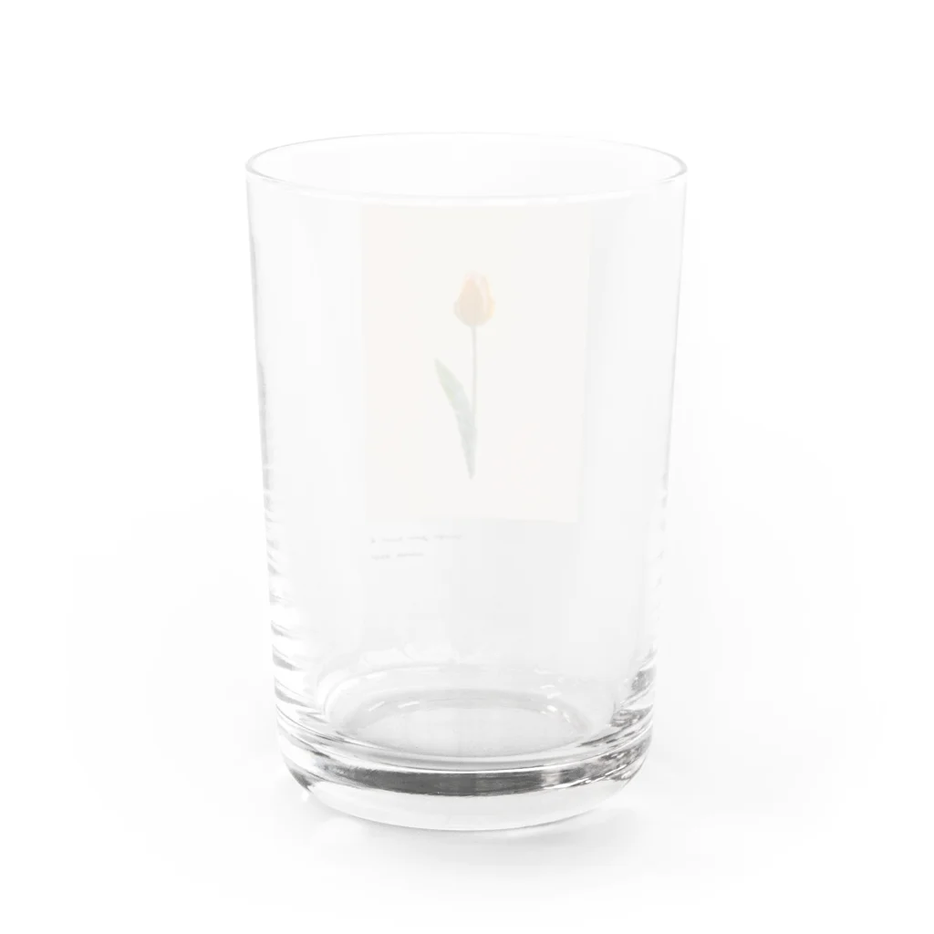 rilybiiの夕焼けとチューリップ Water Glass :back