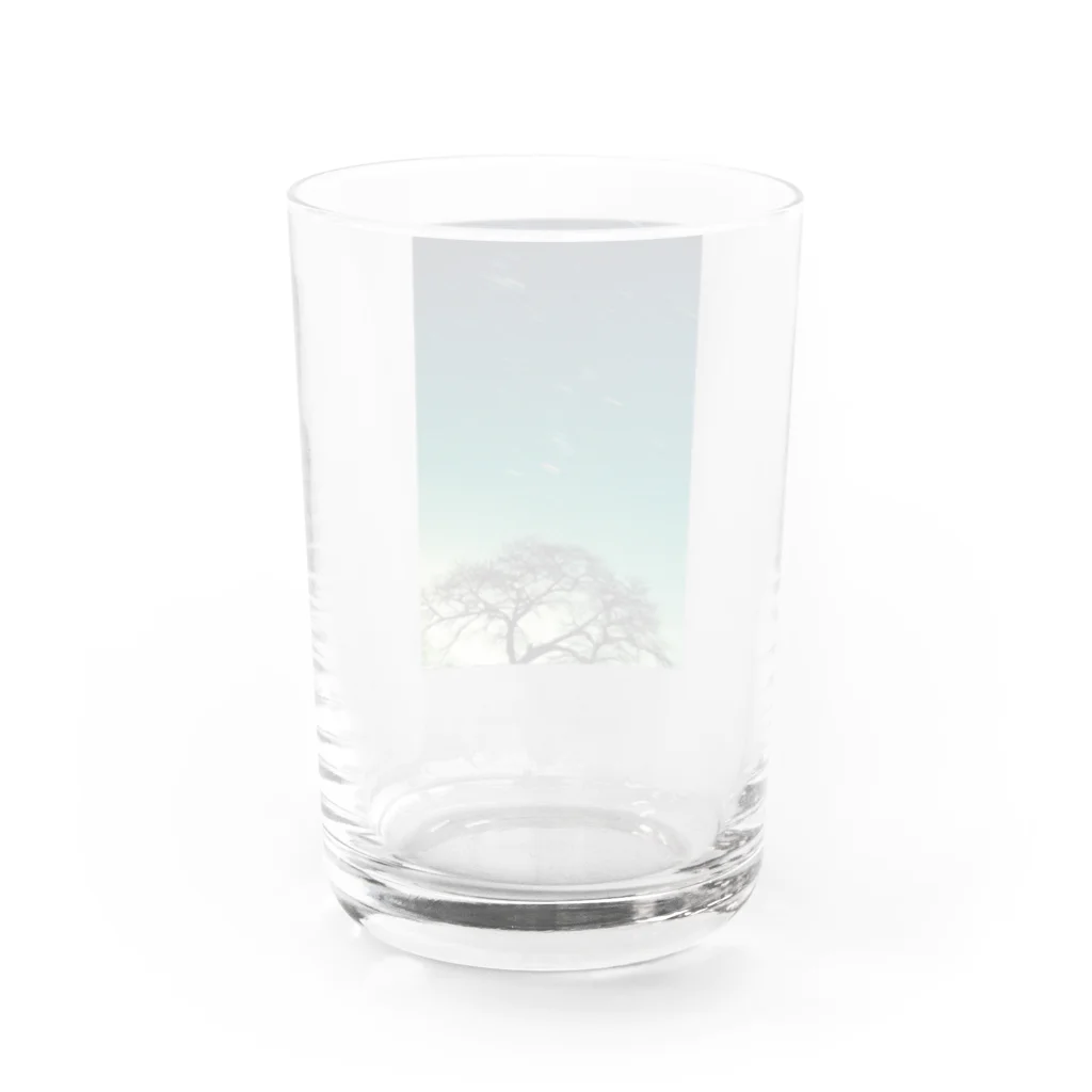 夏と冬は冬が好きの冬の巨人オリオン Water Glass :back