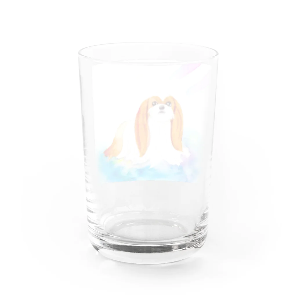 スタジオマリンのシーズー　1ｓ Water Glass :back