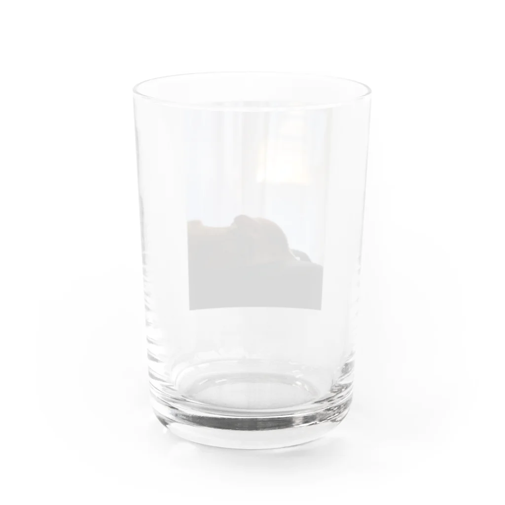 マイクロブタのフィグの横顔と夕陽 Water Glass :back