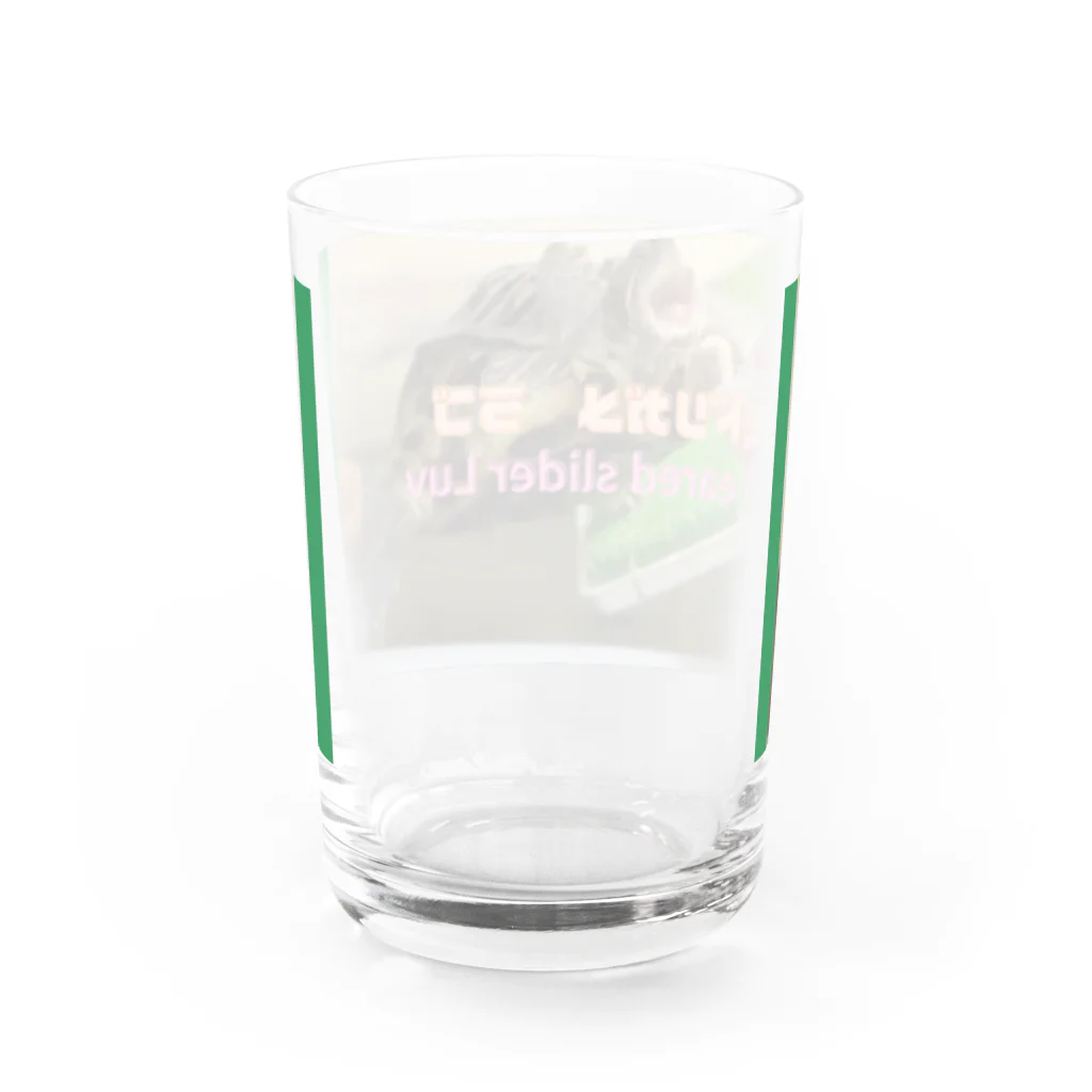 カメオタクの飼育箱のミドリガメ　ラブちゃん Water Glass :back