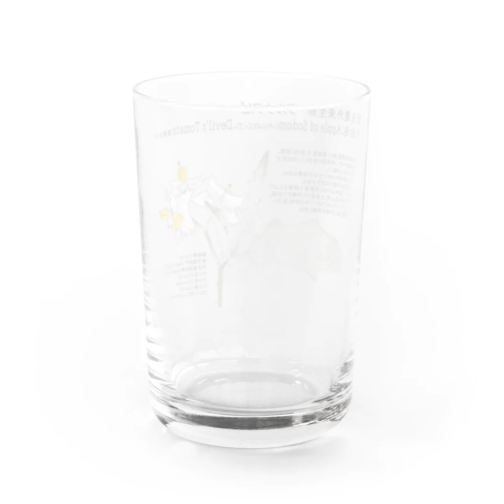 植物の絵師「洋子」の店の要注意外来生物_ワルナスビ Water Glass :back