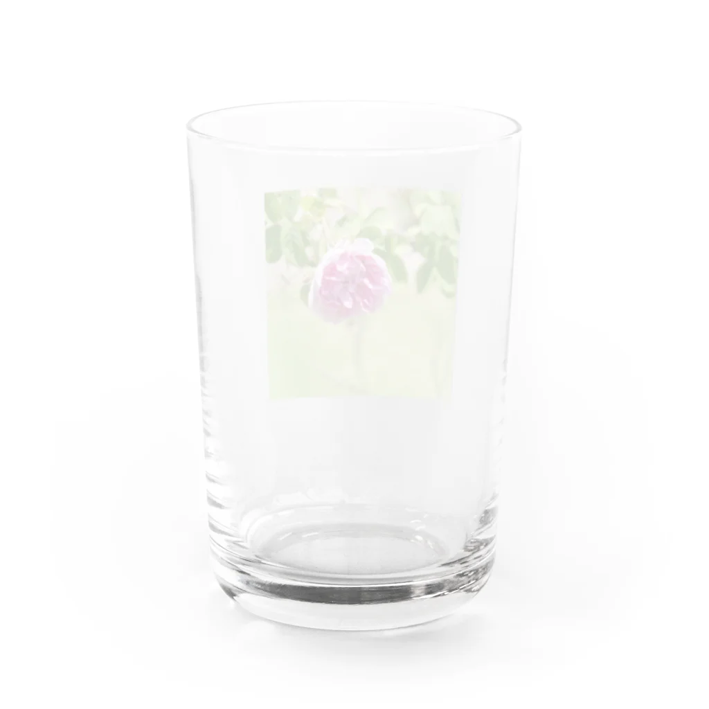 Amie's Gardenのハーブのお店のダマスクローズ Water Glass :back