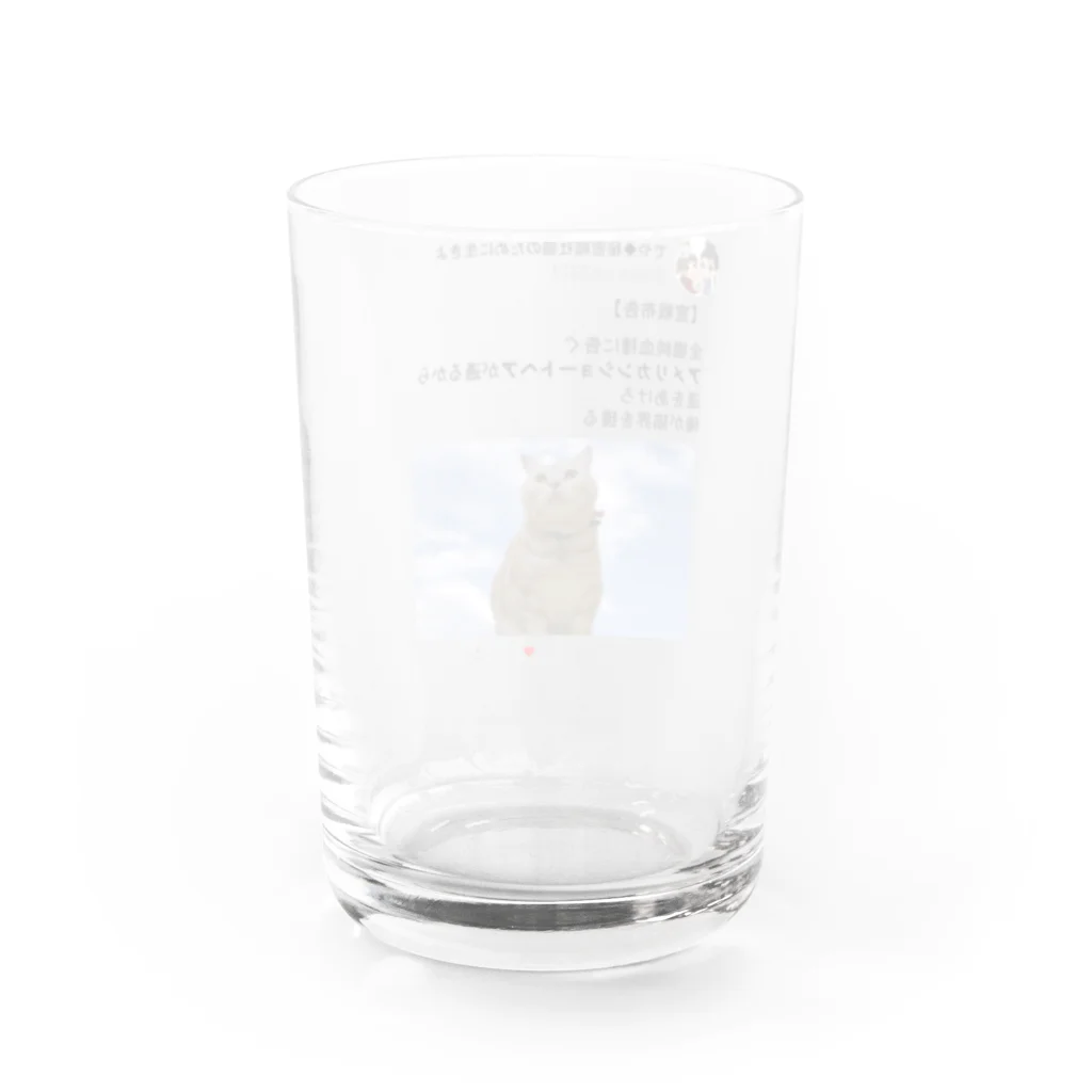 秘密結社猫のために生きよの道をあけろシリーズ　俺が猫界を獲る Water Glass :back