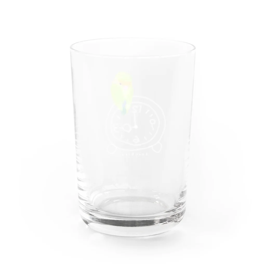 小桜森の３時のコザクラインコ Water Glass :back