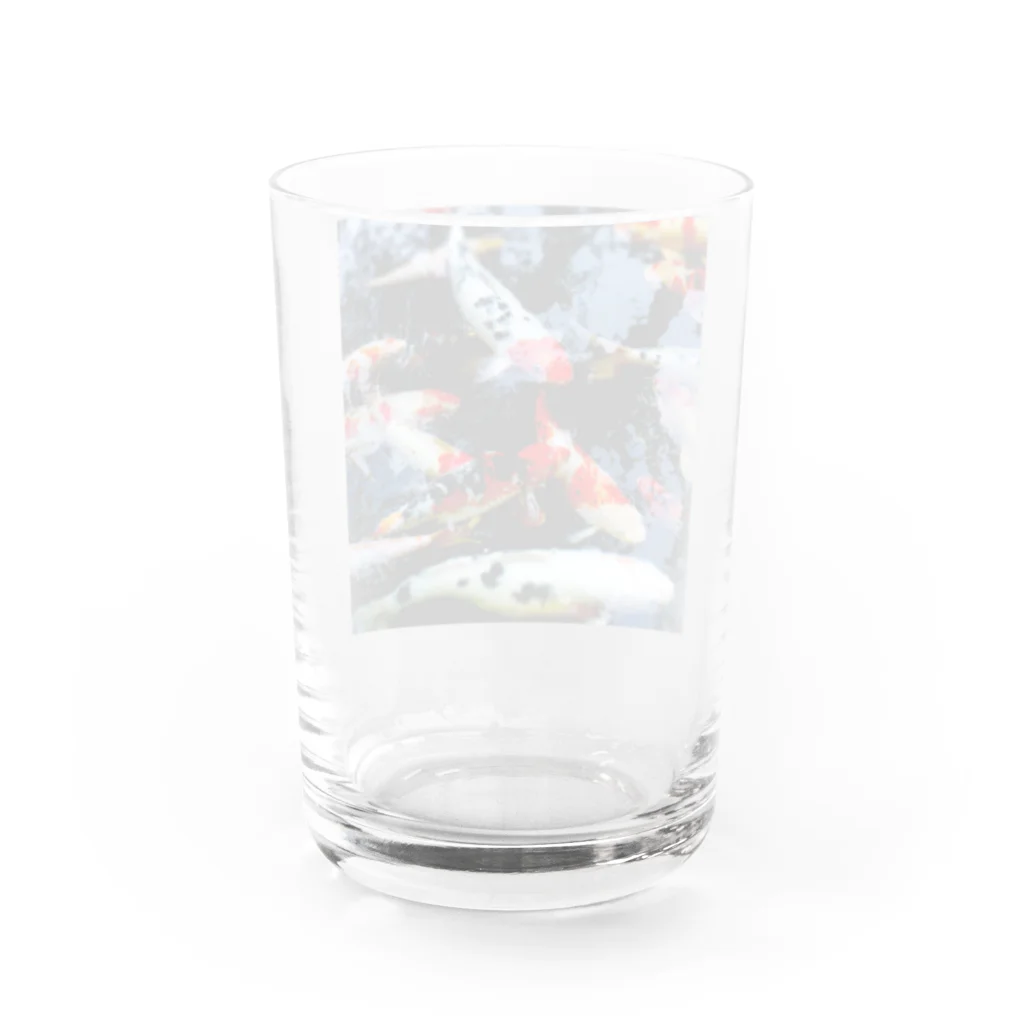 MIRAIのゆらゆら錦鯉 Water Glass :back