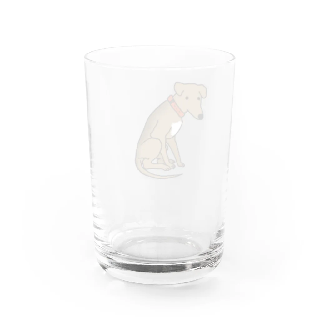 つなホーク🦜🐊🦅🦉のつなグッズ Water Glass :back