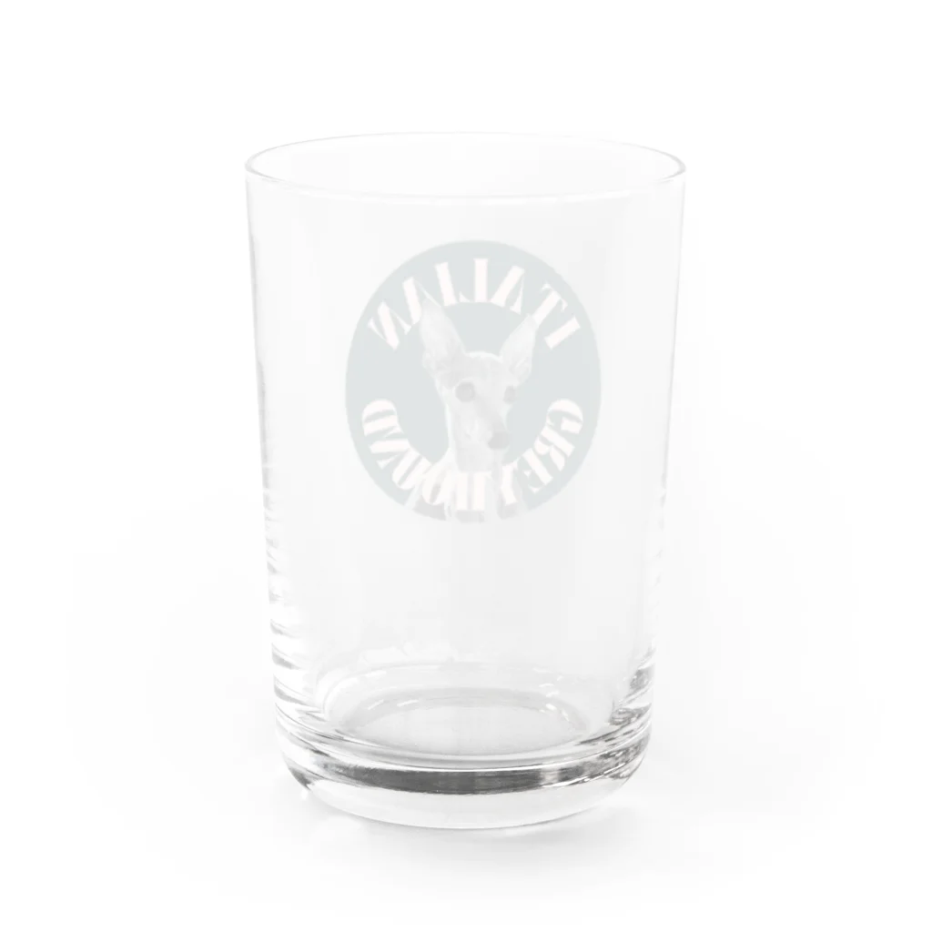 iggggyのGREEN イタグレ Water Glass :back