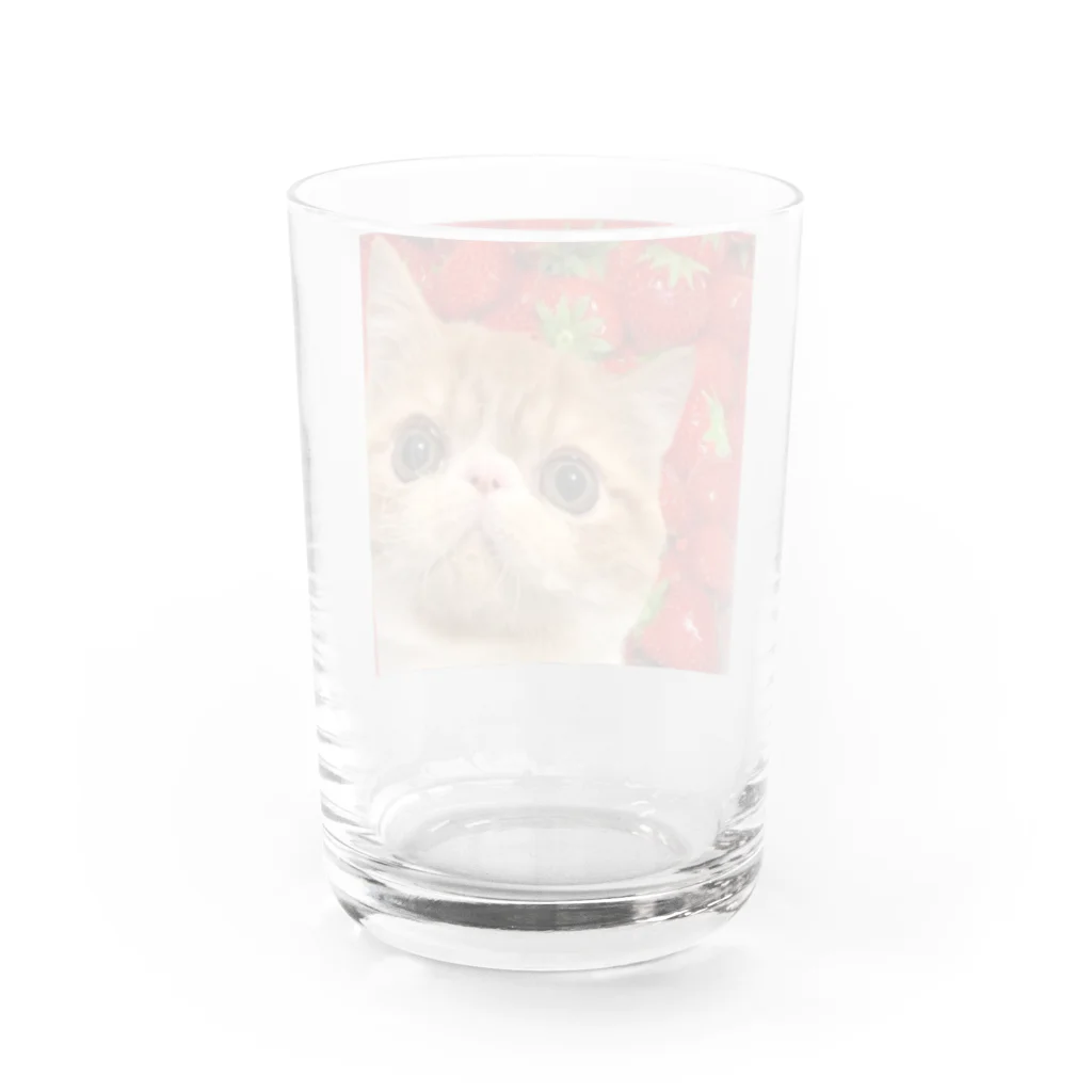 すりるもんすたぁのけんけんといちご🍓 Water Glass :back