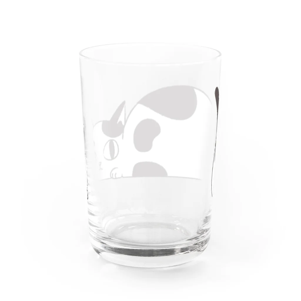 sen-no-momotsukuriのシュレーディンガーの猫の箱の1匹 Water Glass :back