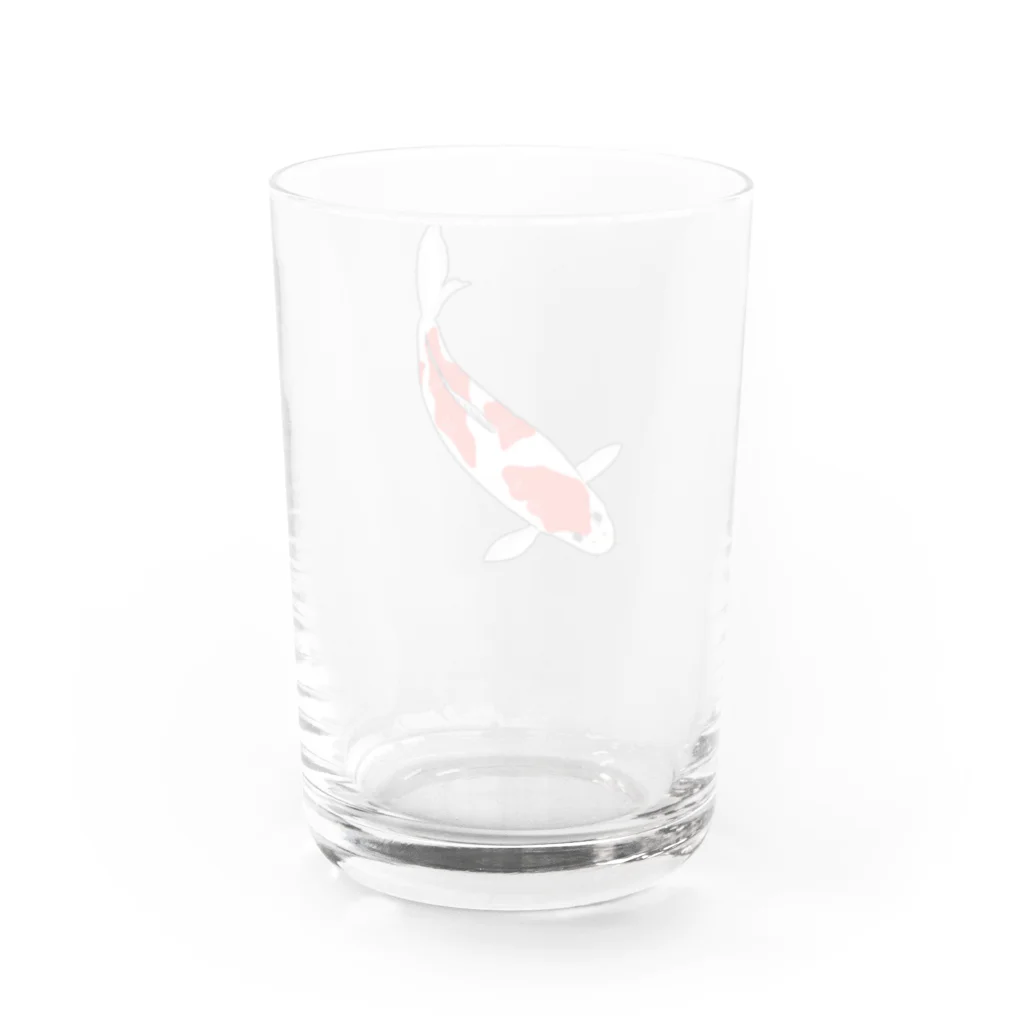 MAYAのアカシロ錦鯉 Water Glass :back