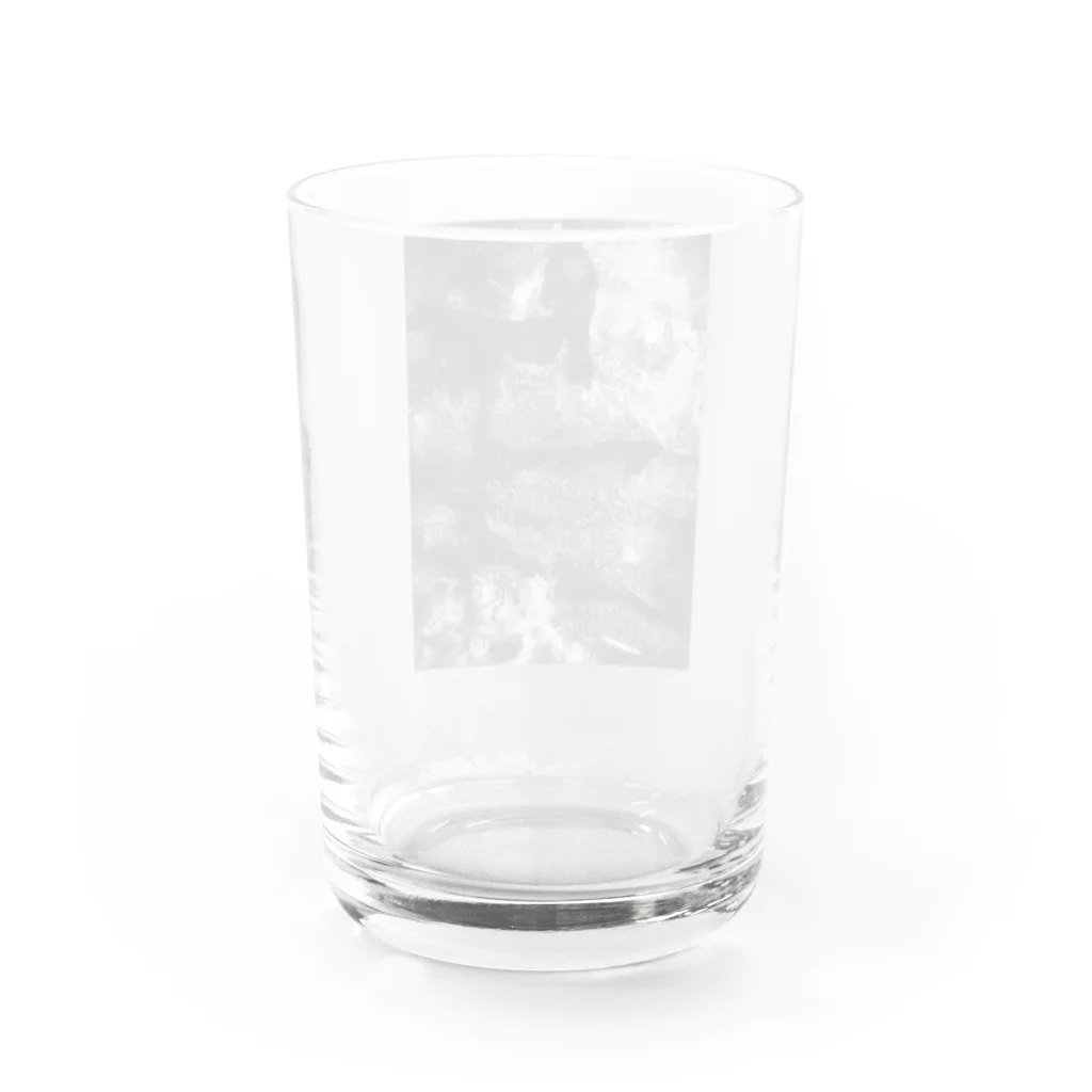 san_oの生 Water Glass :back