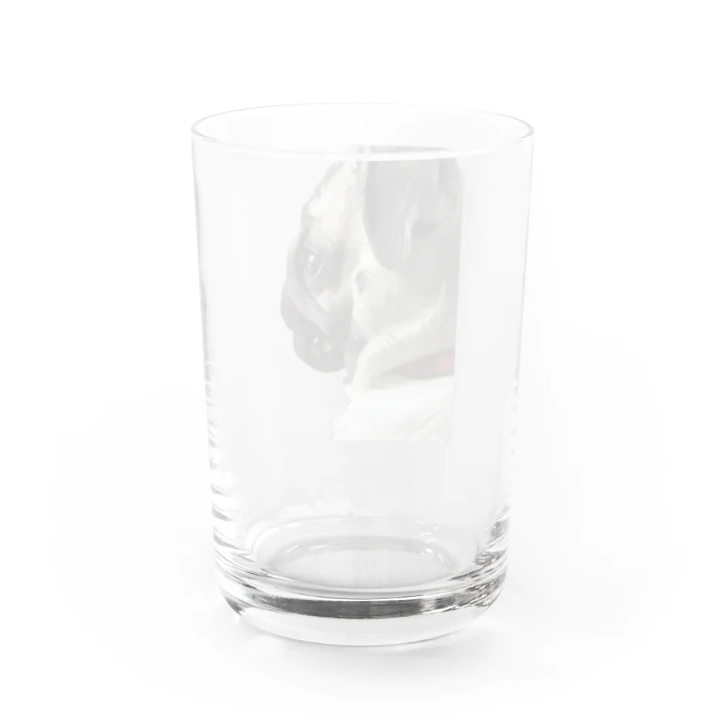 パグのてんちゃんのパグのてんちゃん Water Glass :back