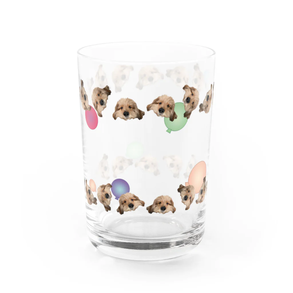 ここまろみのここばるーんmini Water Glass :back