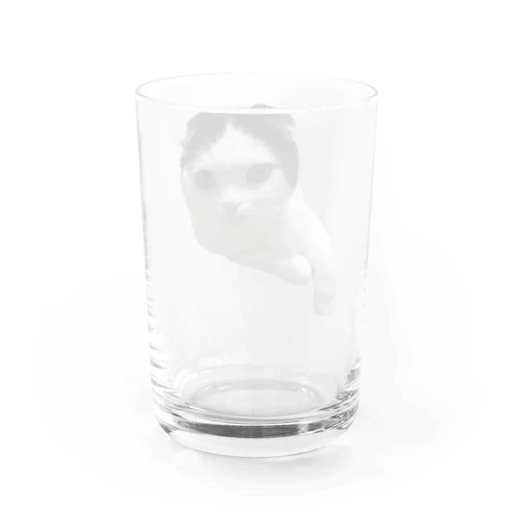 しゅり坊の真ん中分け　ちょび Water Glass :back