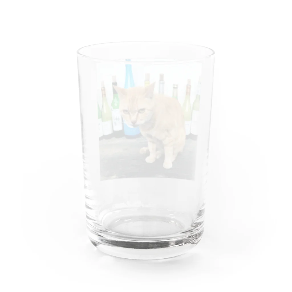 acobi'sの酒猫 Water Glass :back