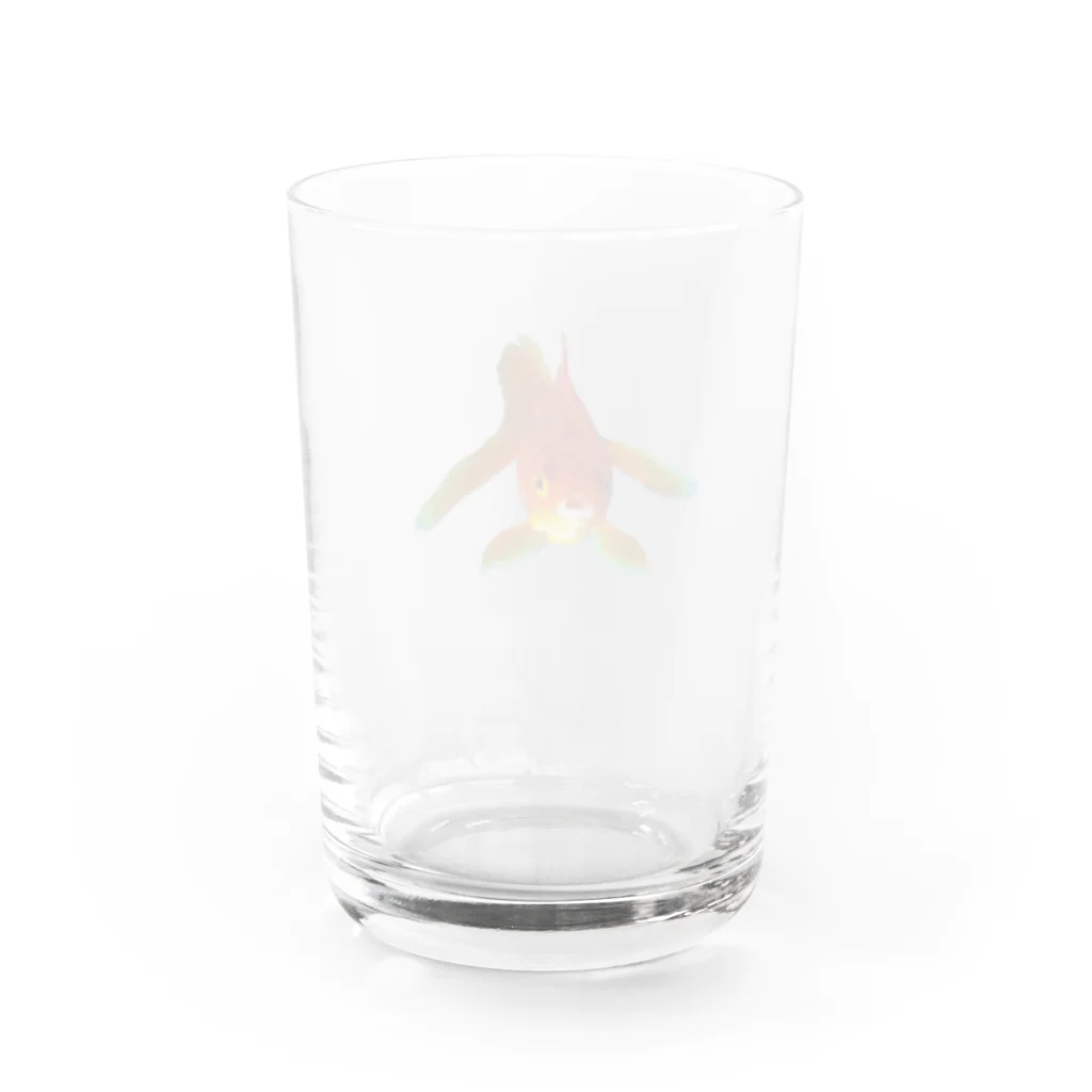 acobi'sのこっち見てる違う金魚 Water Glass :back