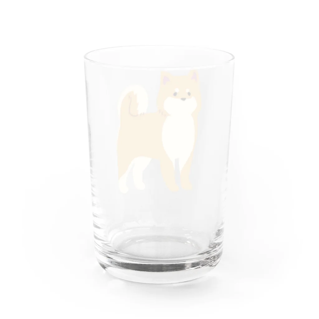 Kotetsu diary(SUZURI店)のゆるゆる柴犬 Water Glass :back