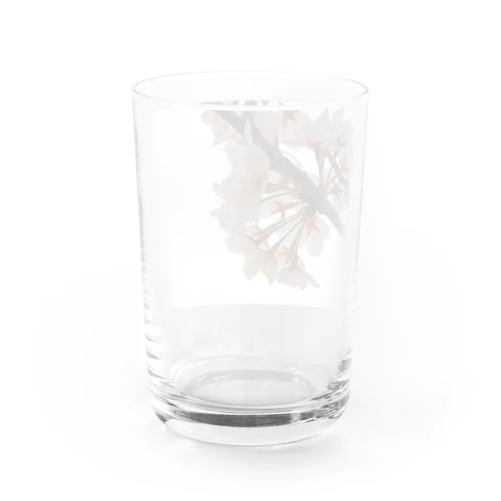 ムーンライトのイラスト風SAKURA Water Glass :back