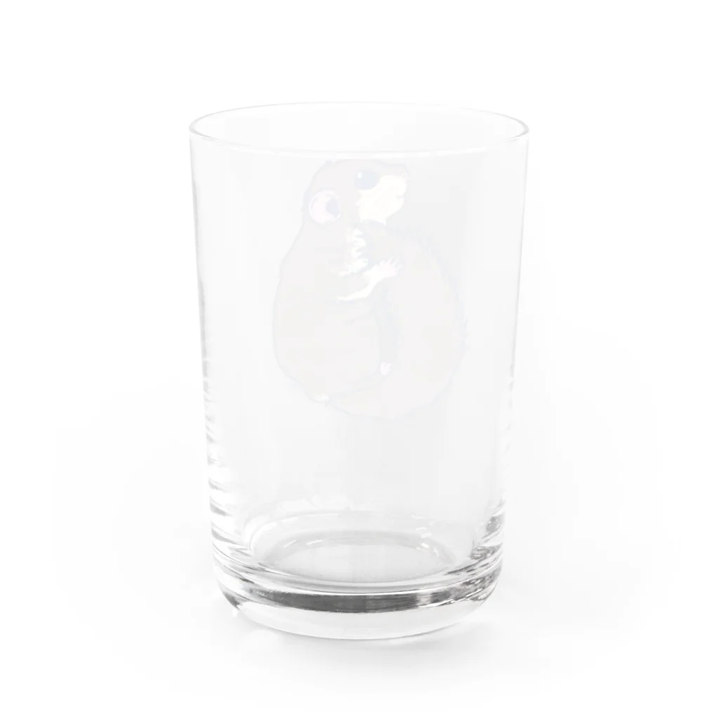 Lichtmuhleのくすみカラーのアフリカヤマネ01 Water Glass :back