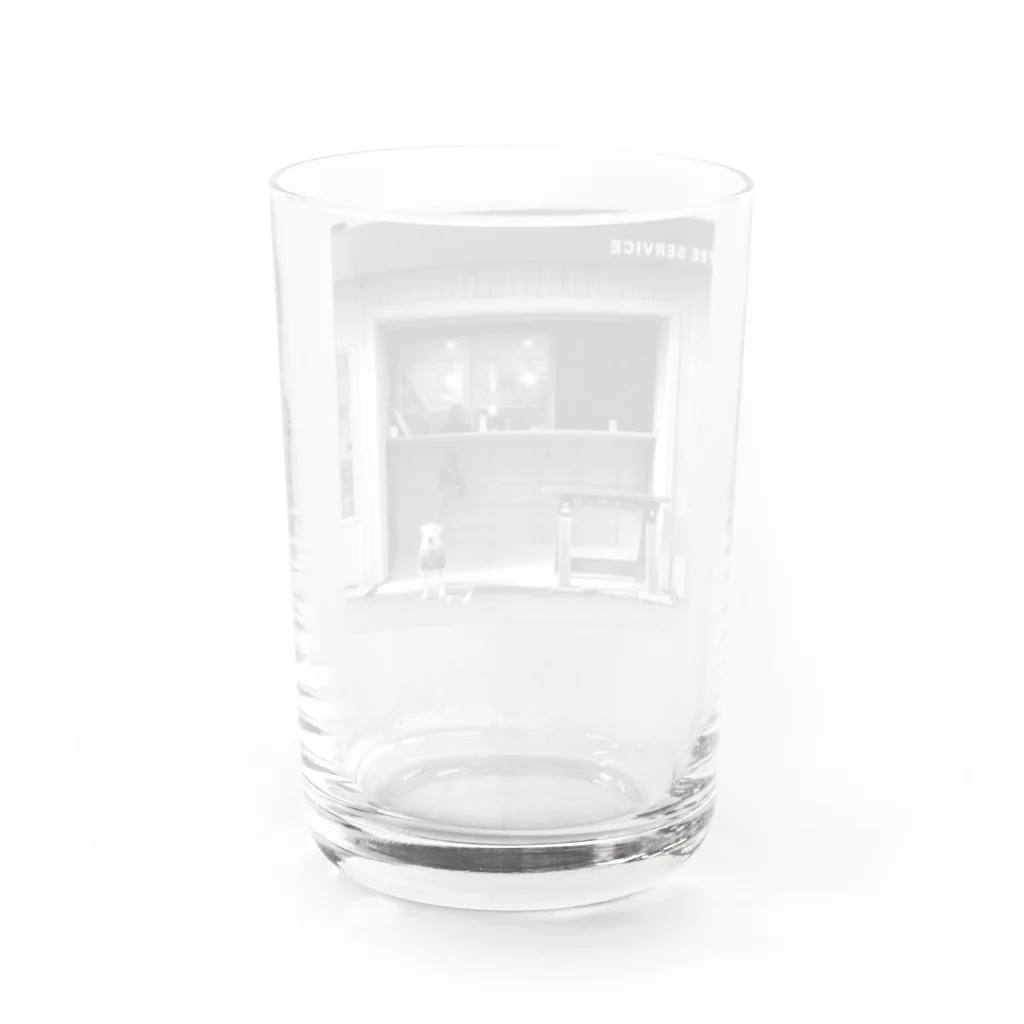 ブルテリアのにきぶうのカフェと犬 Water Glass :back