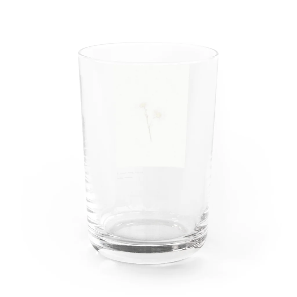 rilybiiのAntique beige green milky yellow ** Water Glass :back