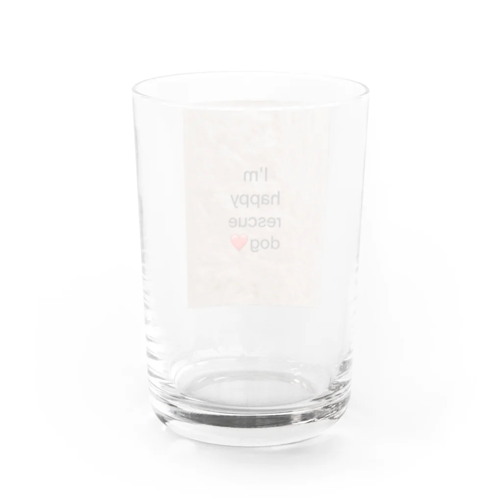 cocoaの❤️幸せな保護犬と飼い主さんの為のグッズ❤️ Water Glass :back