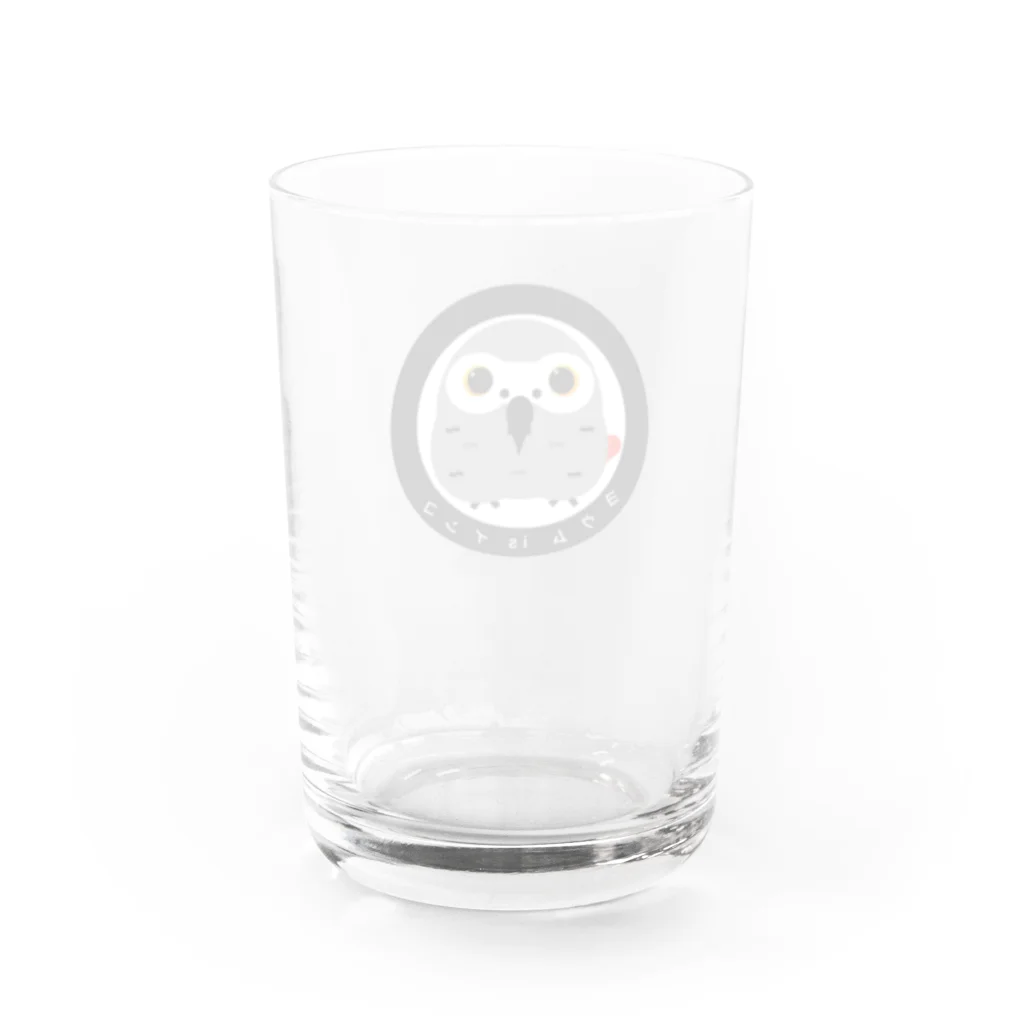 お出かけヨウムのヨウム   is インコ② Water Glass :back