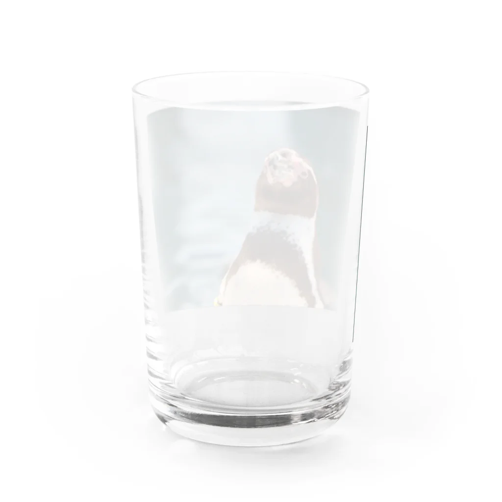 Laylandのおぺんぴ Water Glass :back