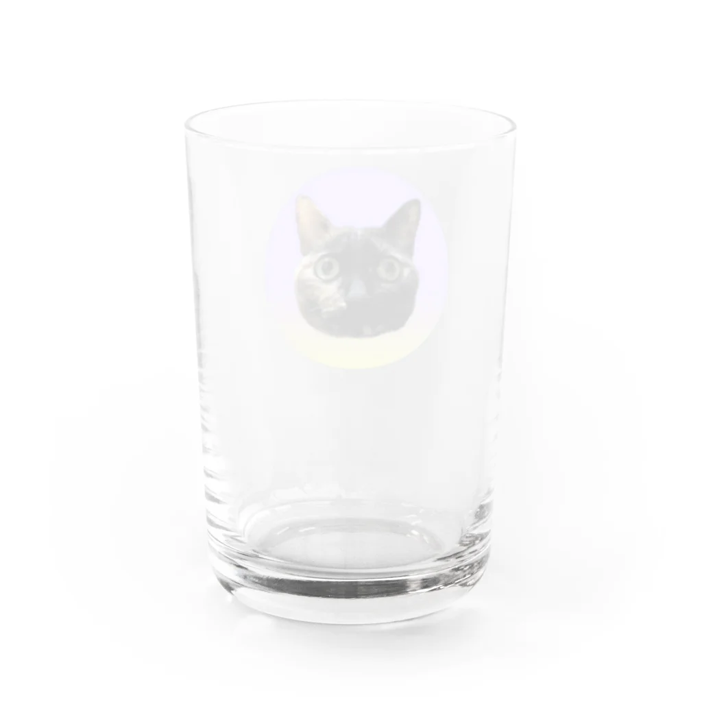 osuimono(ふーふのふ～)のきょとんとした猫 Water Glass :back