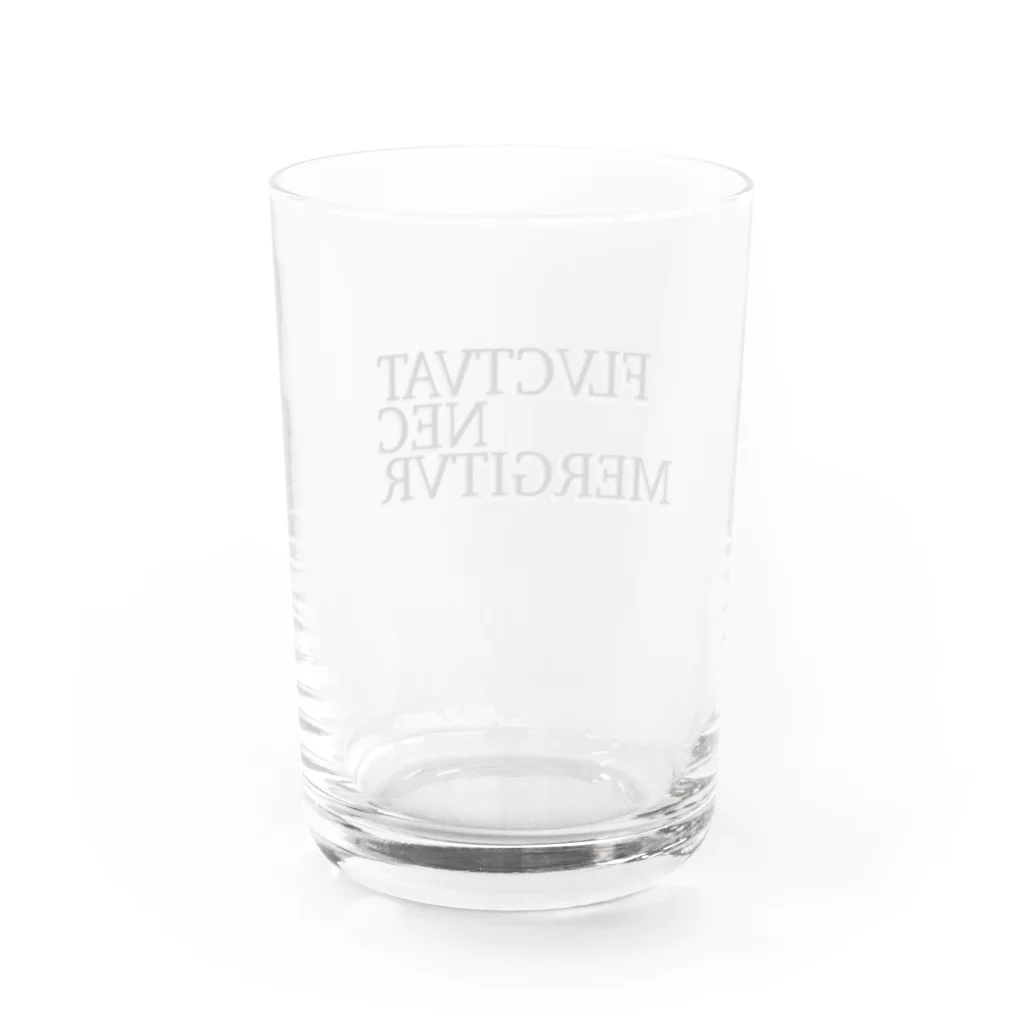 KickaholicのFLVCTVAT NEC MERGITVR Water Glass :back